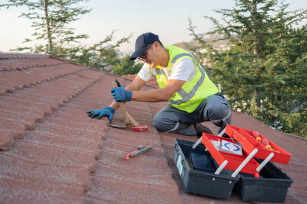 Quick and Trustworthy Emergency Roof Repair Services in Tangelo Park, FL