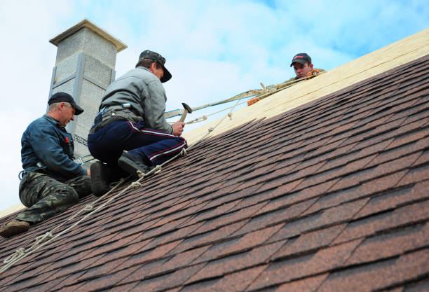 Gutter Installation and Roofing in Tangelo Park, FL